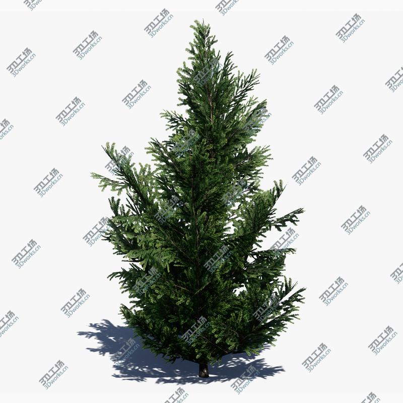 images/goods_img/2021040232/3D Pine Tree Pack 01/3.jpg